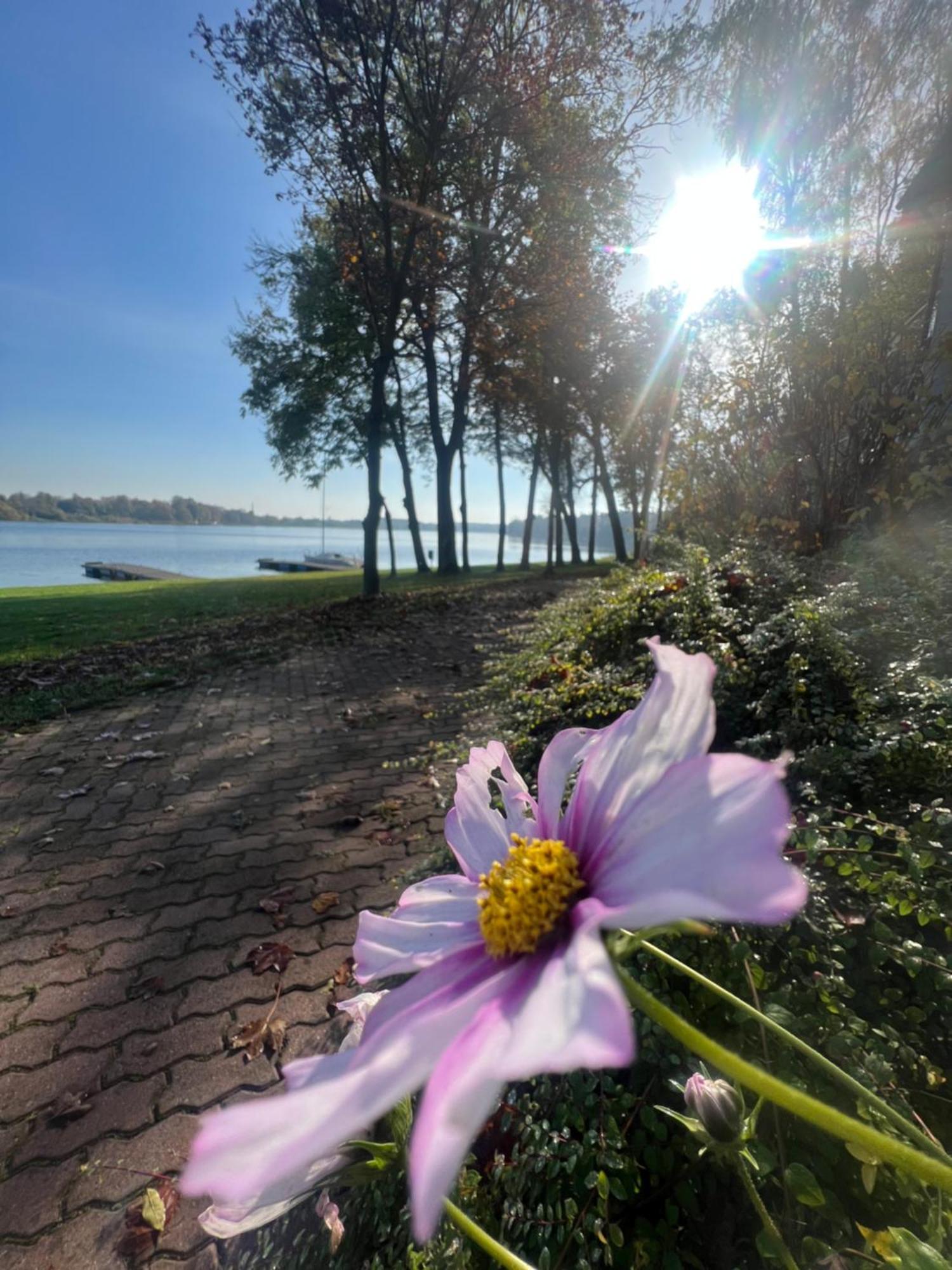 Hotel Mikorzyn Slesin  Bagian luar foto